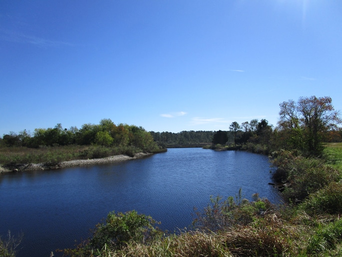 Bayou La Batre, AL